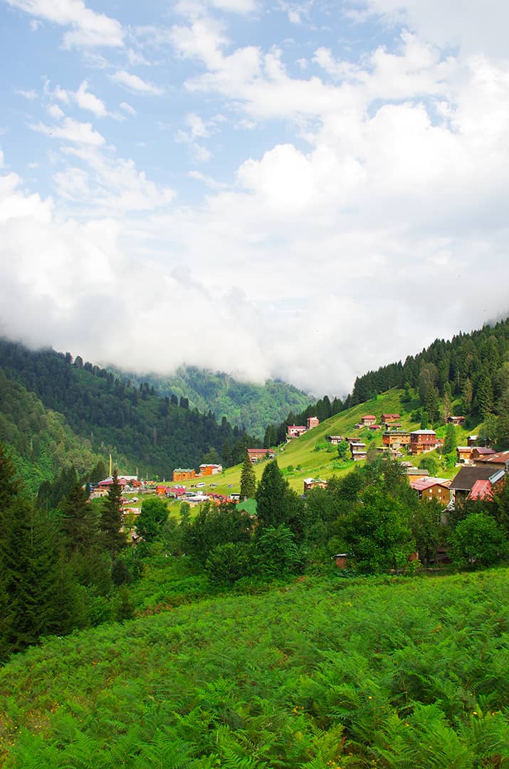 Karadeniz Yaylaları