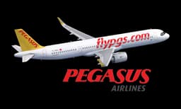 Pegasus